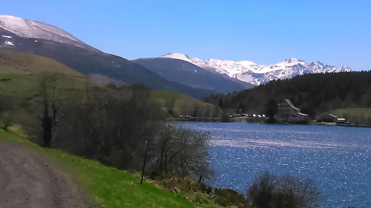 Tulipe, Appartement 5 Personnes, Entre Sancy Et Volcans D'Auvergne เออร์ซิวัล ภายนอก รูปภาพ