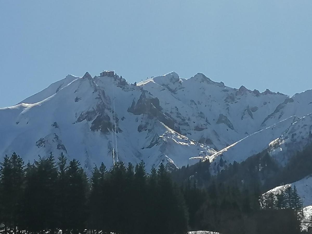Tulipe, Appartement 5 Personnes, Entre Sancy Et Volcans D'Auvergne เออร์ซิวัล ภายนอก รูปภาพ