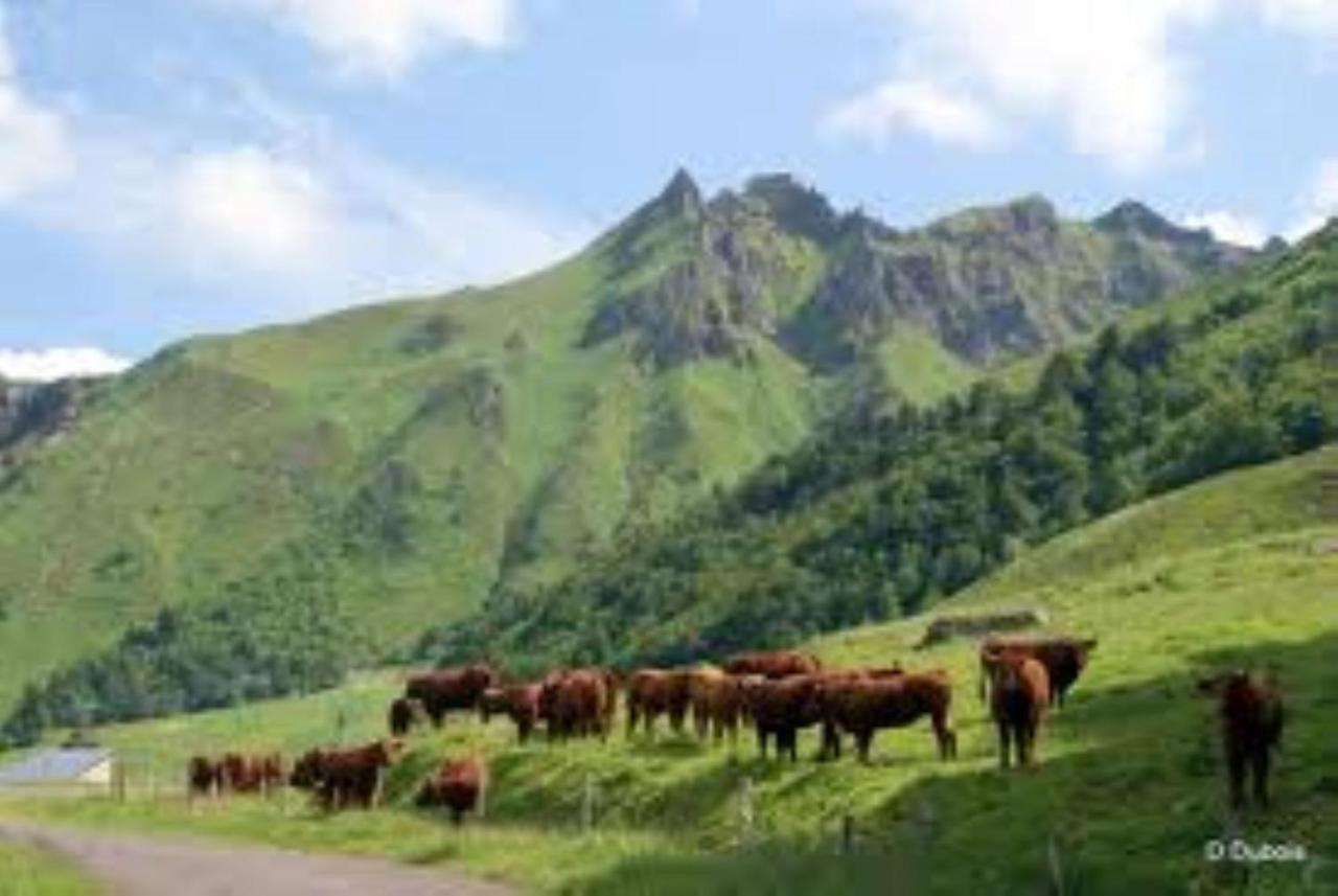 Tulipe, Appartement 5 Personnes, Entre Sancy Et Volcans D'Auvergne เออร์ซิวัล ภายนอก รูปภาพ